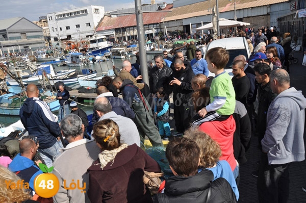 samak denisss (35).JPG